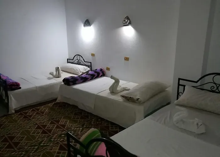 Monica 4*